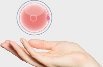 Банк Доноров яйцеклеток: ваш путь к успешному родительству